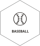 Baseball icon
