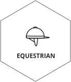 Equestrian icon